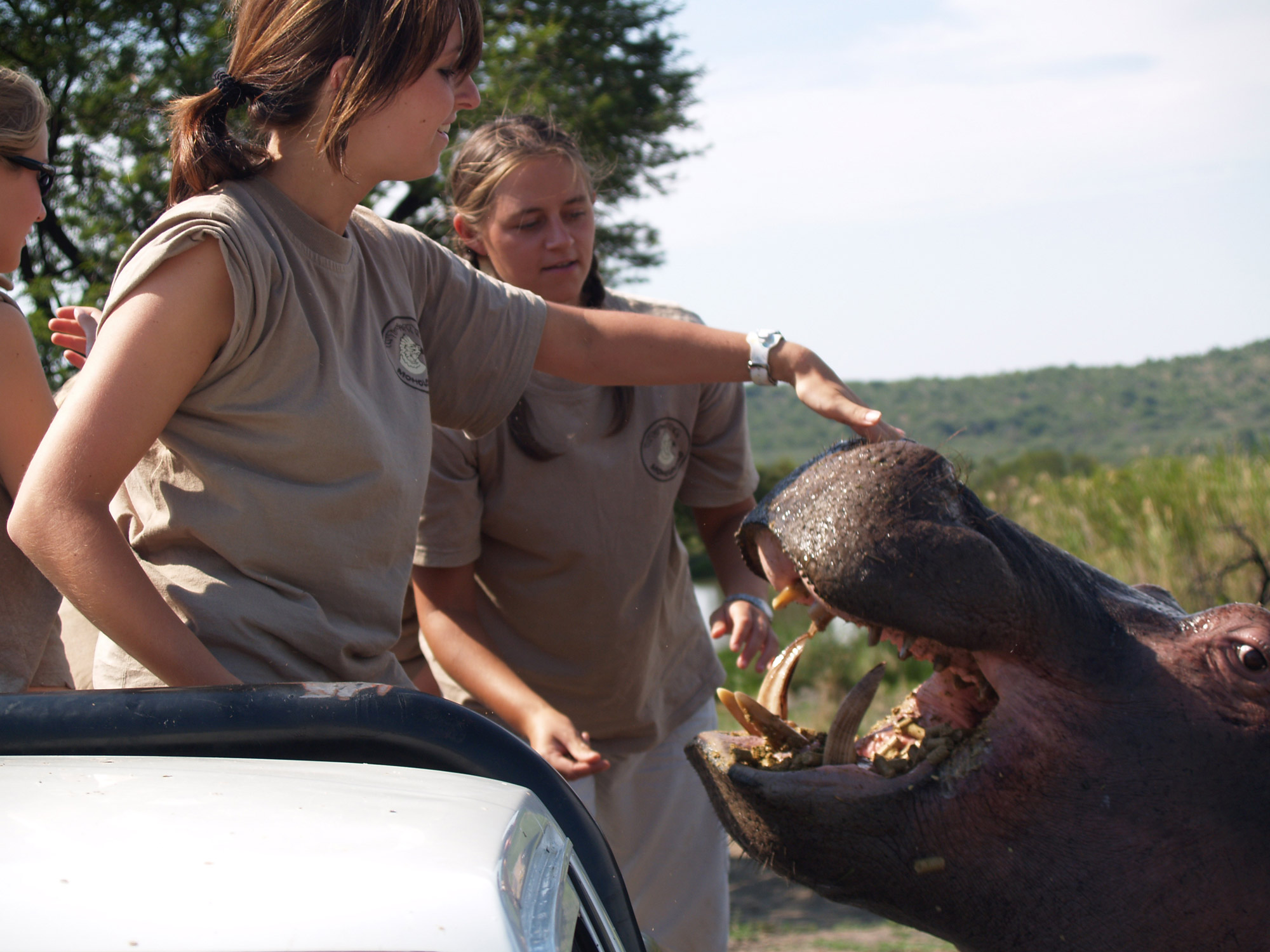 Moholoholo - Dieren rehabilitatie en opvang