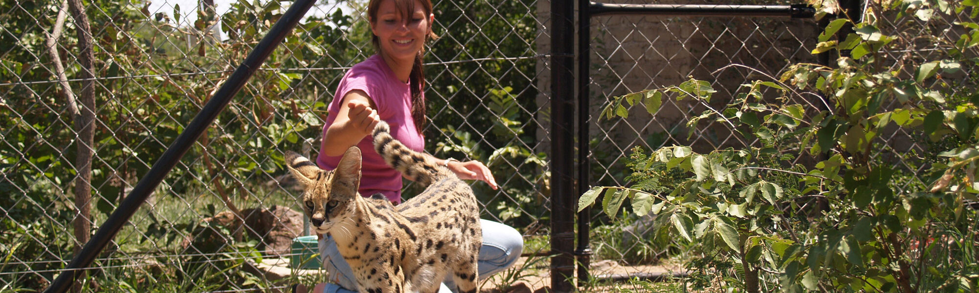 Moholoholo - Dieren rehabilitatie en opvang