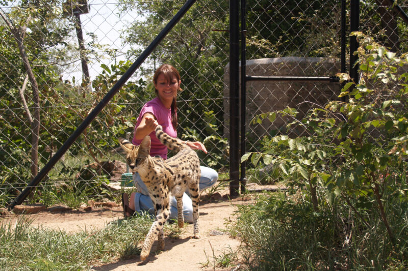 Moholoholo - Dieren rehabilitatie en opvang