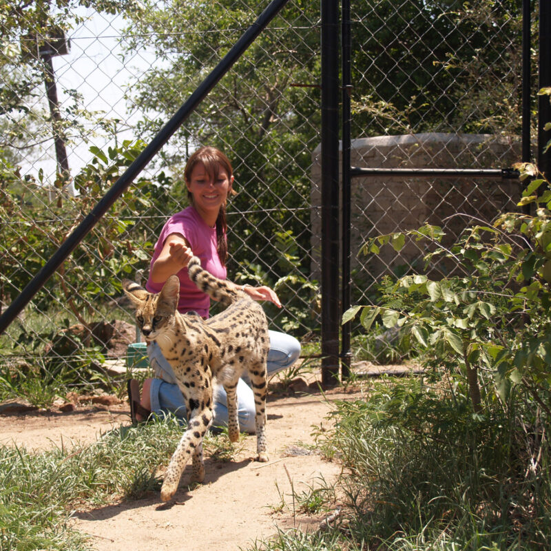 Moholoholo - Dieren rehabilitatie en opvang