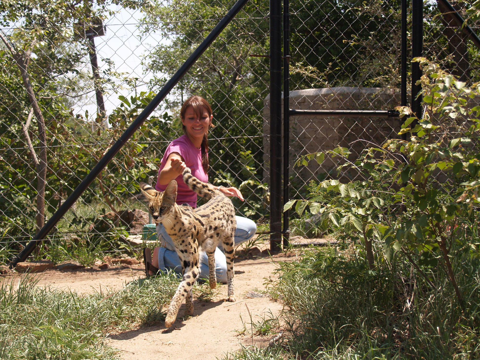 Moholoholo - Dieren rehabilitatie en opvang