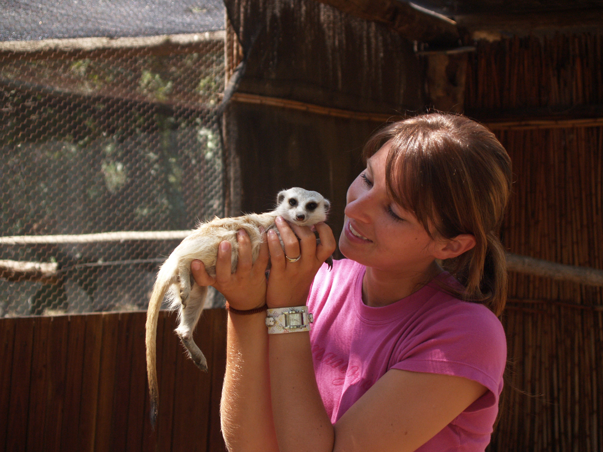 Moholoholo - Dieren rehabilitatie en opvang