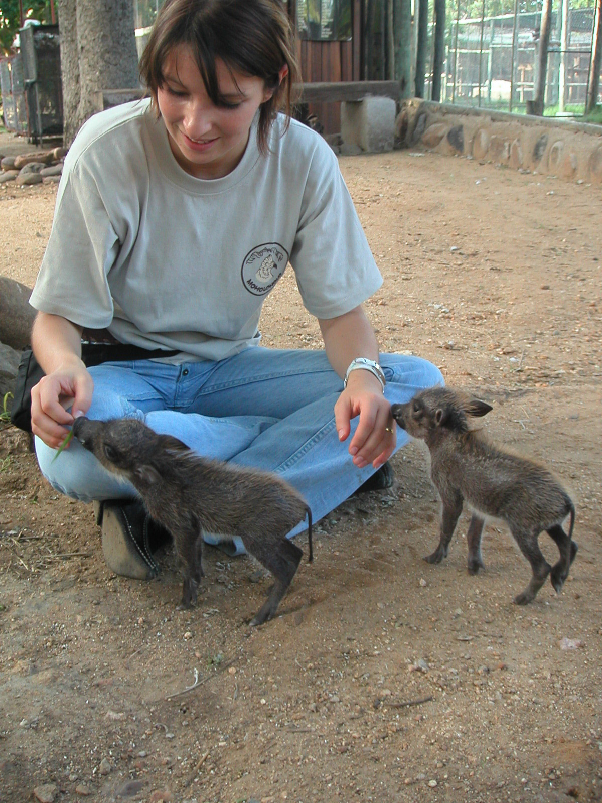 Moholoholo - Dieren rehabilitatie en opvang