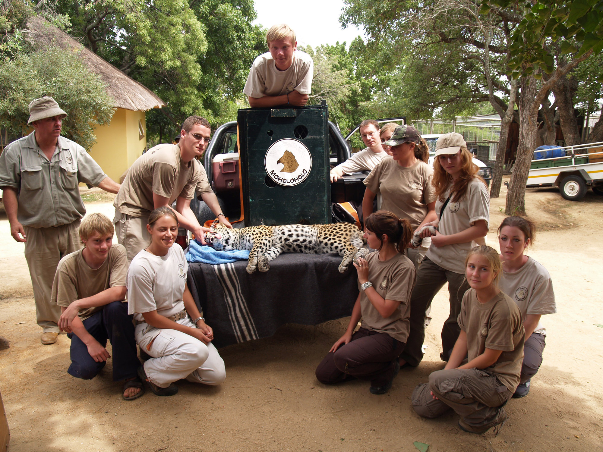 Moholoholo - Dieren rehabilitatie en opvang