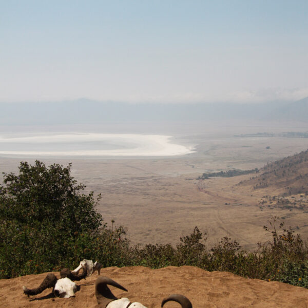 Ngorongoro krater - Tanzania
