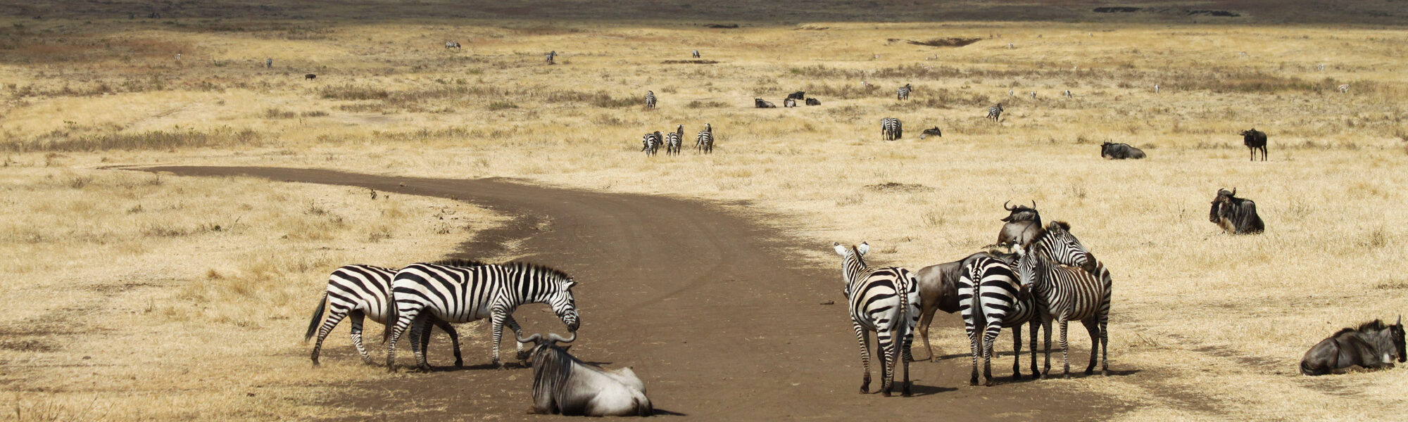 Ngorongoro krater - Tanzania