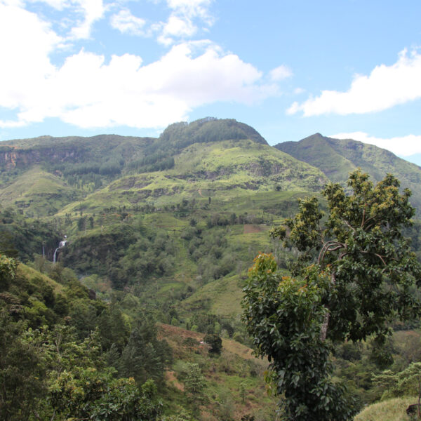 Ramboda - Sri Lanka