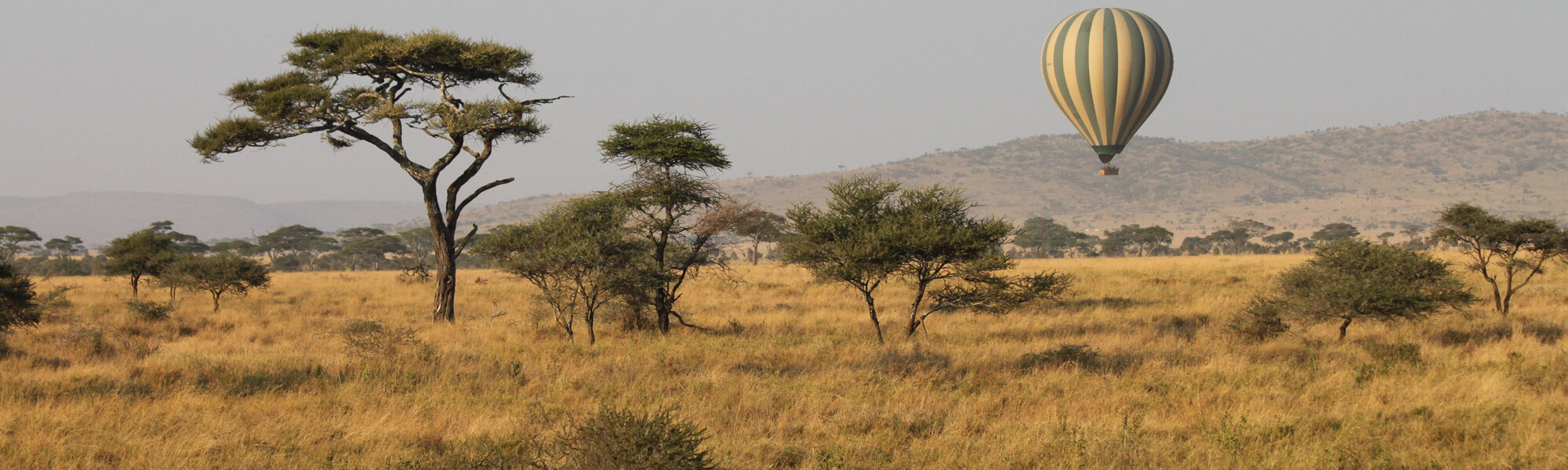 Serengeti National Park - Tanzania