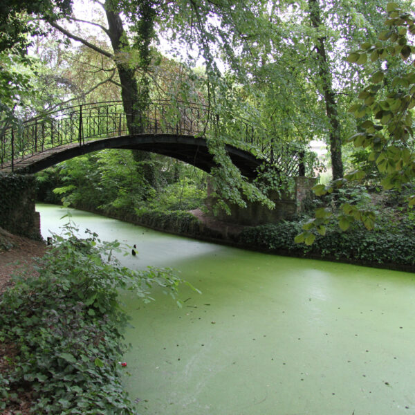 Kruidtuin - Mechelen - België