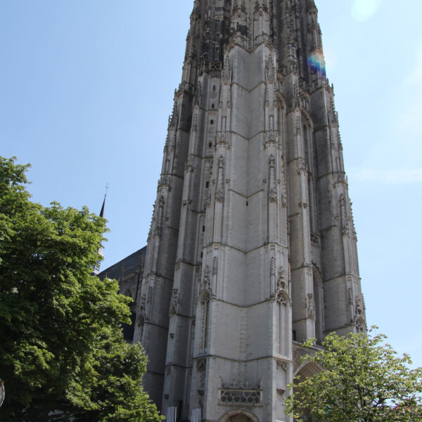 Sint-Romboutskathedraal - Mechelen - België