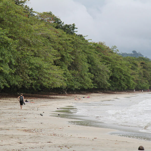 Parque Nacional Cahuita - Cahuita - Costa Rica