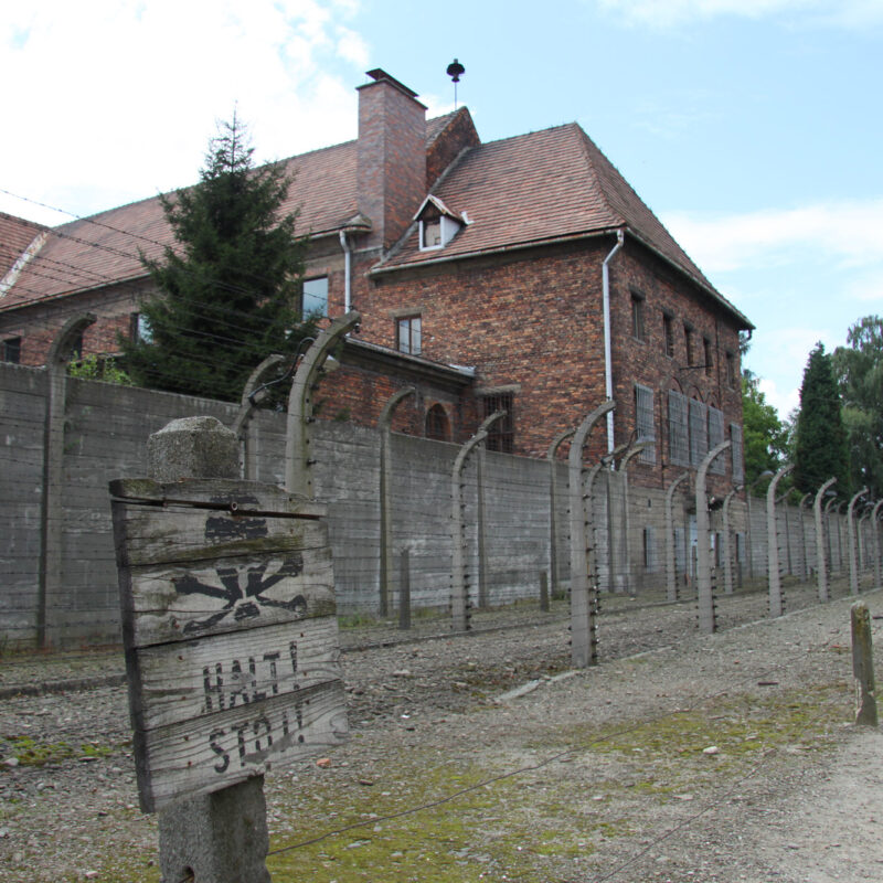 Auschwitz: terechte woede en gebrek aan respect?