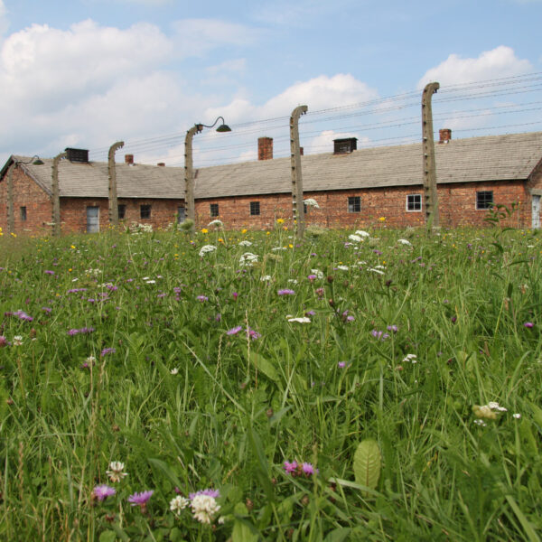Auschwitz: terechte woede en gebrek aan respect?
