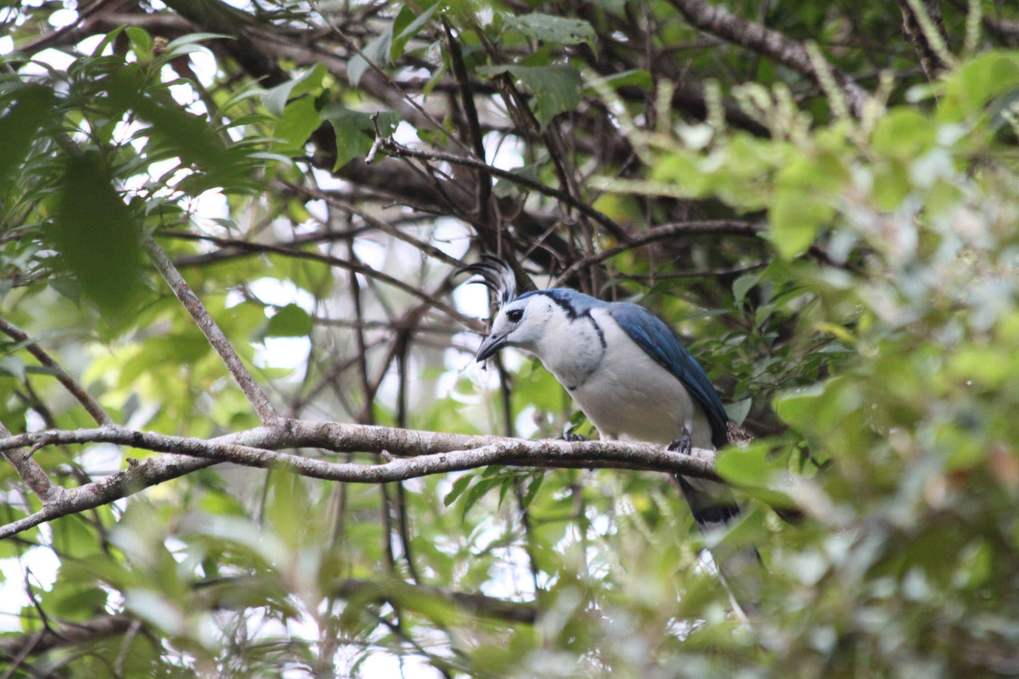 Parque Nacional Rincón de la Vieja - Costa Rica