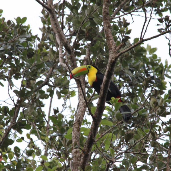 Parque Nacional Rincón de la Vieja - Costa Rica