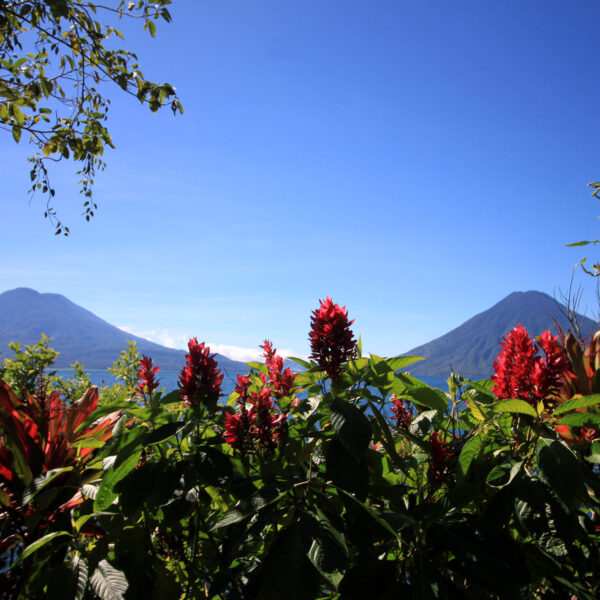 Guatemala 2015 - dag 20 - Nog even genieten rondom het Lake Atitlan
