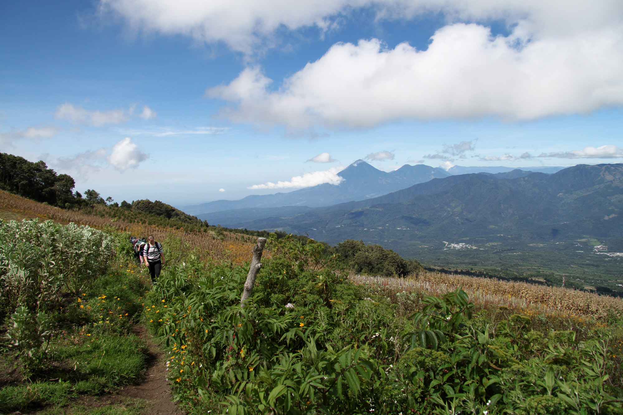 Guatemala 2015 - dag 4 - Beklimming van de Volcán Acatenango