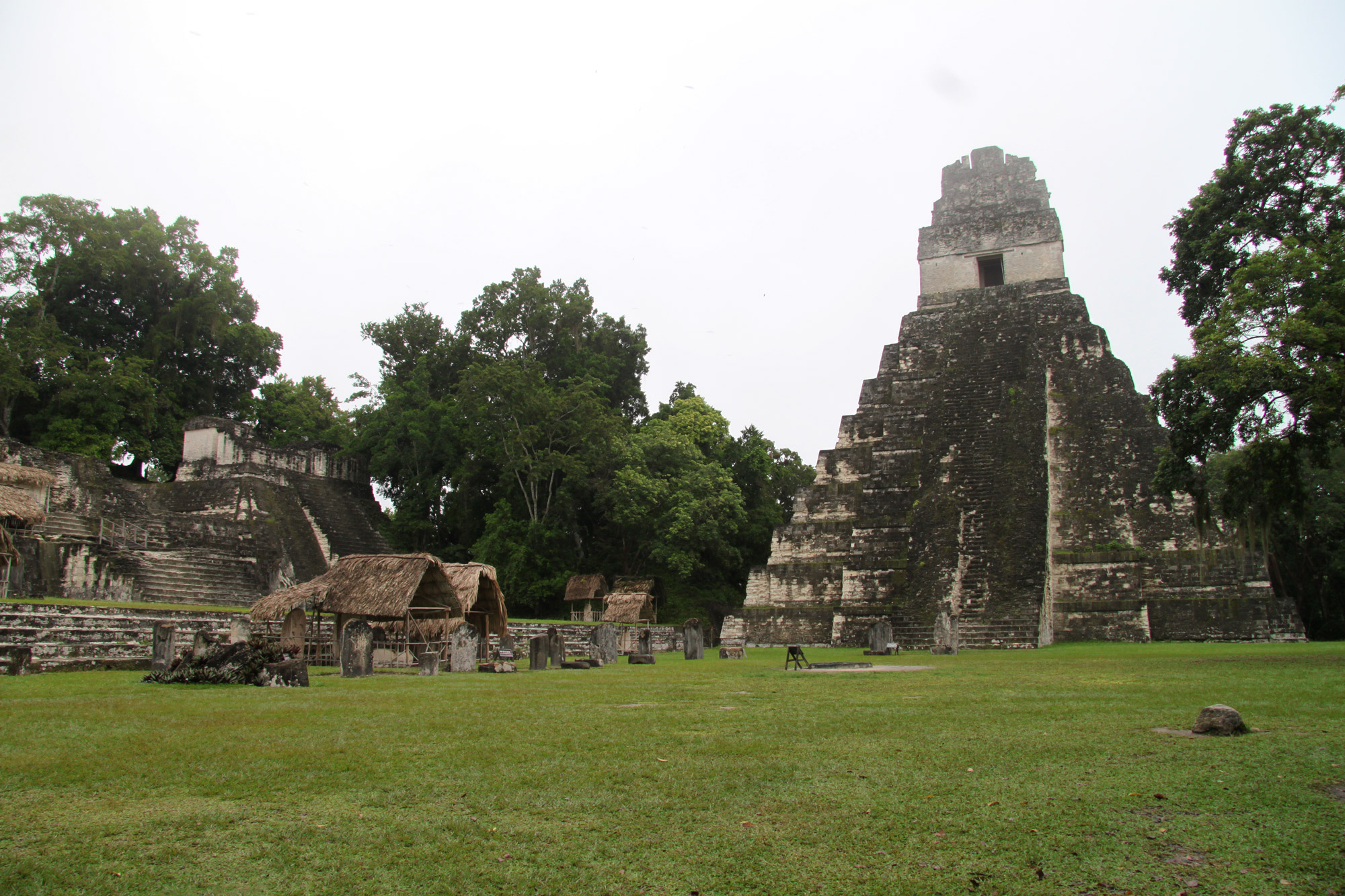 Guatemala 2015 - dag 7 - Templo I in Tikal