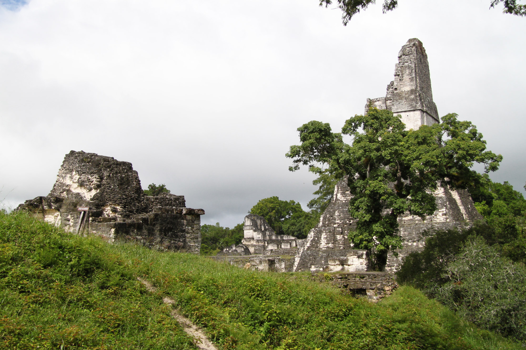 Guatemala 2015 - dag 8 - Tweede dag in Tikal