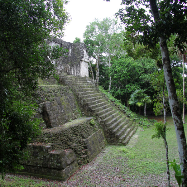 Guatemala 2015 - dag 8 - Tweede dag in Tikal