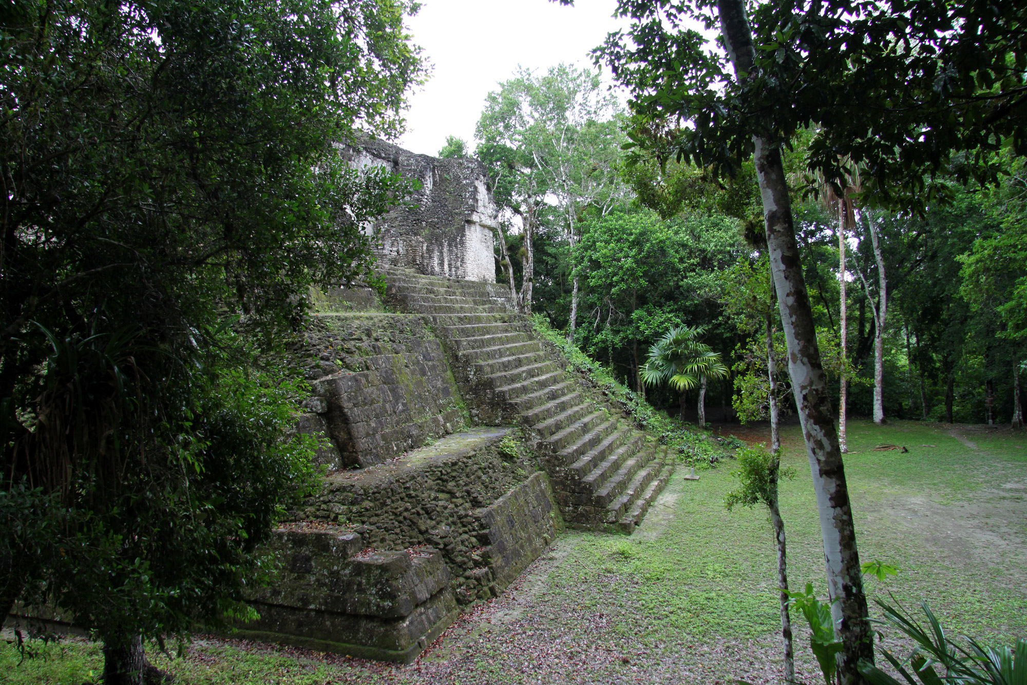 Guatemala 2015 - dag 8 - Tweede dag in Tikal