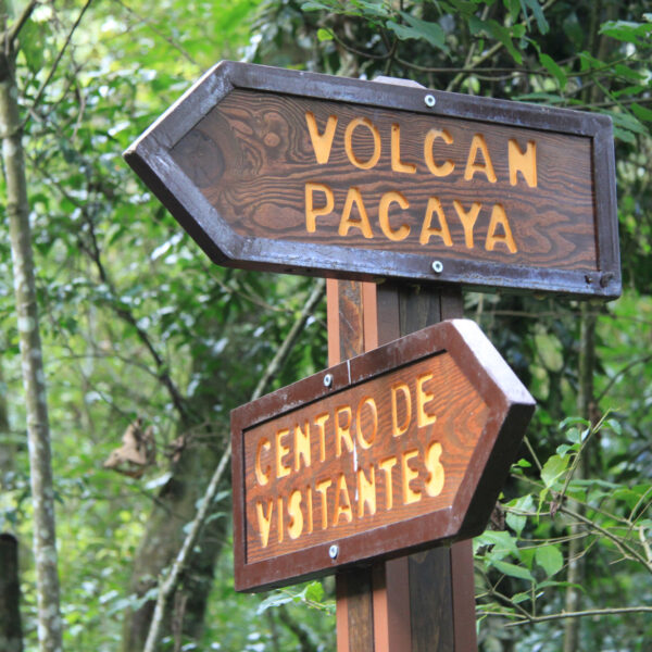 Volcán Pacaya - Guatemala