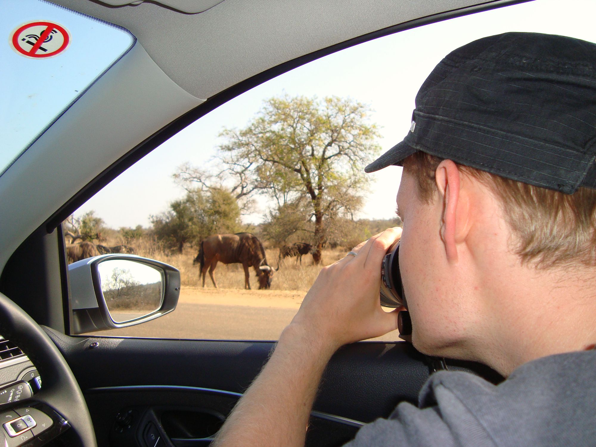 Zuid-Afrika bucketlist - Selfdrive safari