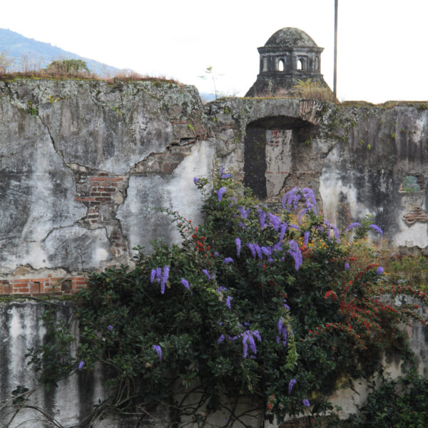 Colegio de San Jerónimo - Antigua - Guatemala