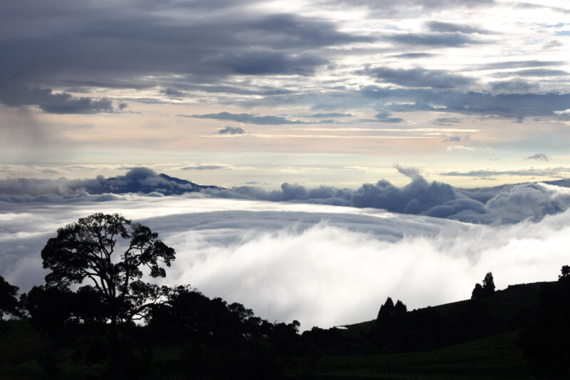 Foto en het verhaal: een absolute goedmaker in Costa Rica