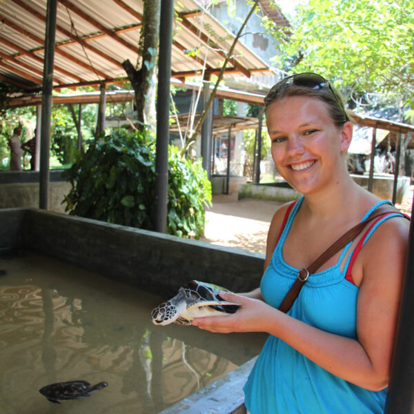 Kosgoda Sea Turtle Conservation Project - Bentota - Sri Lanka