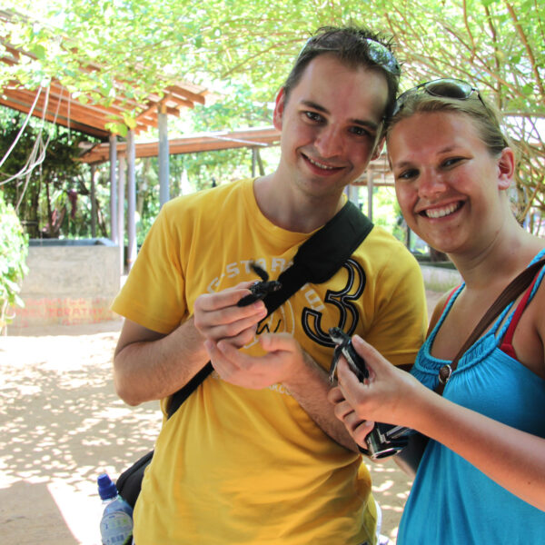 Kosgoda Sea Turtle Conservation Project - Bentota - Sri Lanka