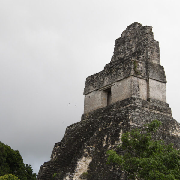 Templo I - Tikal - Guatemala