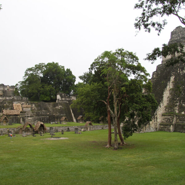 Grand Plaza - Tikal - Guatemala