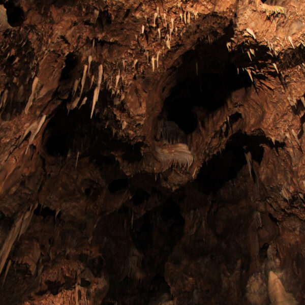 Grotte La Merveilleuse - Dinant - België