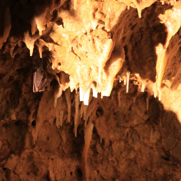 Grotte La Merveilleuse - Dinant - België