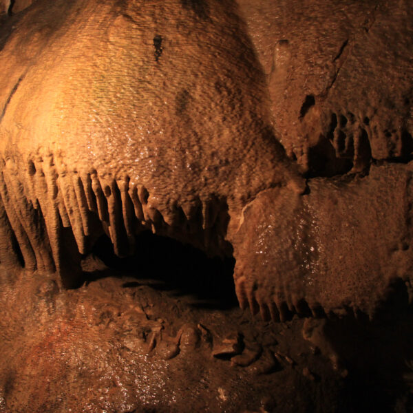 Grotte La Merveilleuse - Dinant - België