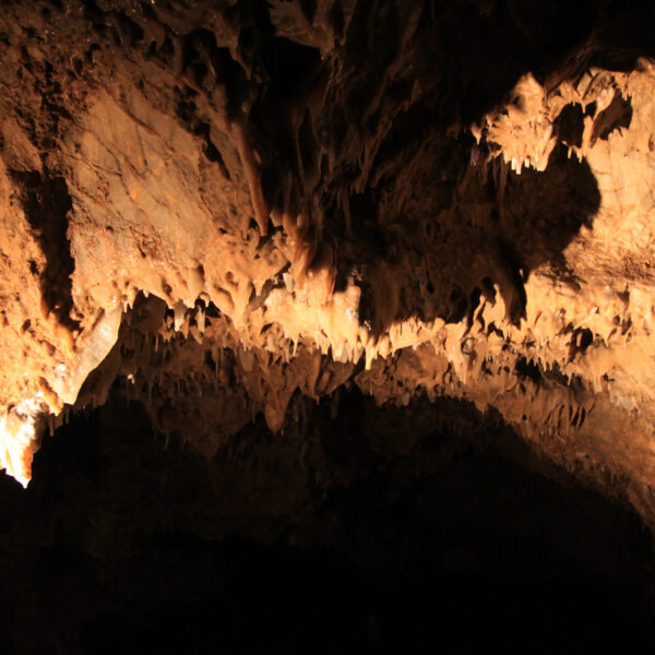 Grotte La Merveilleuse - Dinant - België