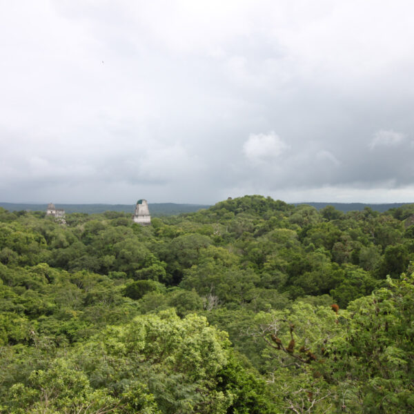 Templo III - Tikal - Guatemala