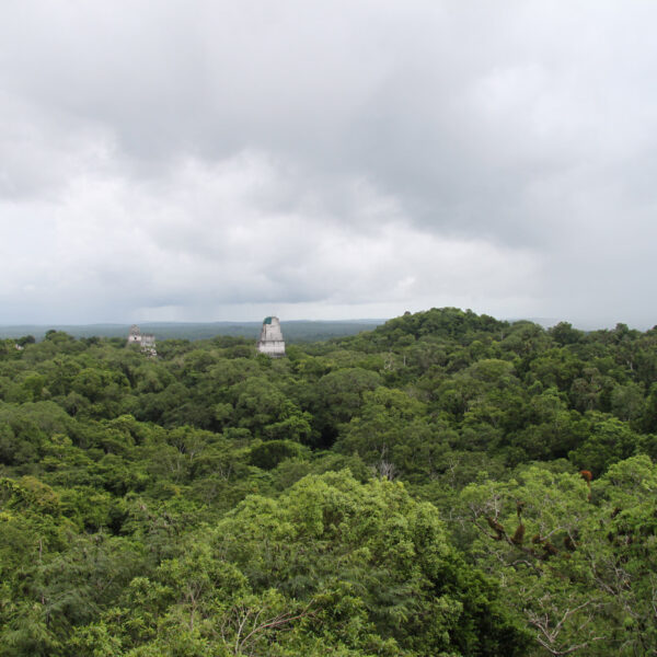 Templo IV - Tikal - Guatemala