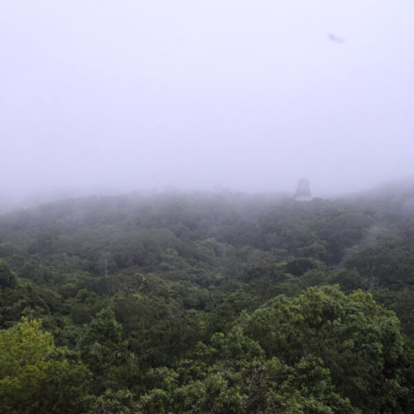 Templo IV - Tikal - Guatemala