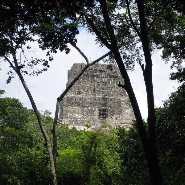 Templo IV - Tikal - Guatemala