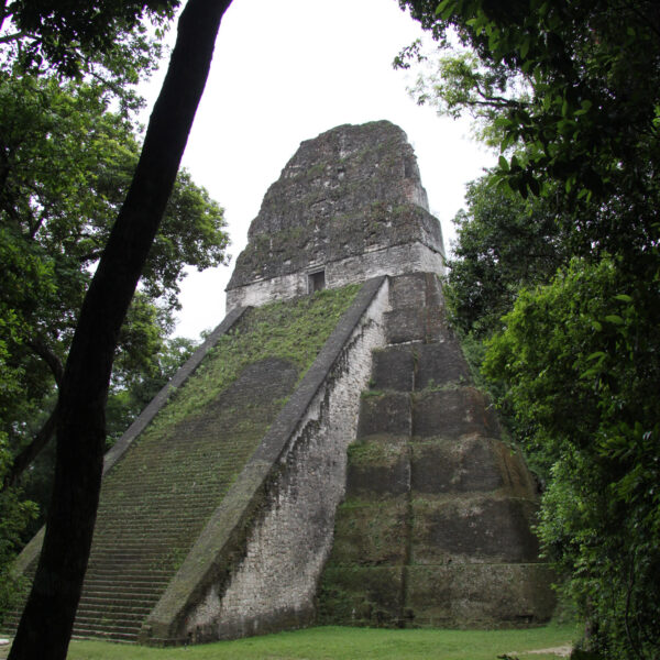 Templo V - Tikal - Guatemala