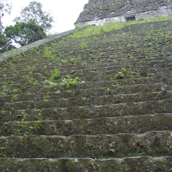 Templo V - Tikal - Guatemala