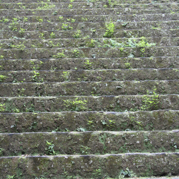 Templo V - Tikal - Guatemala