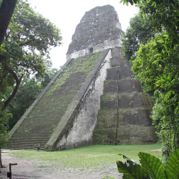 Templo V - Tikal - Guatemala