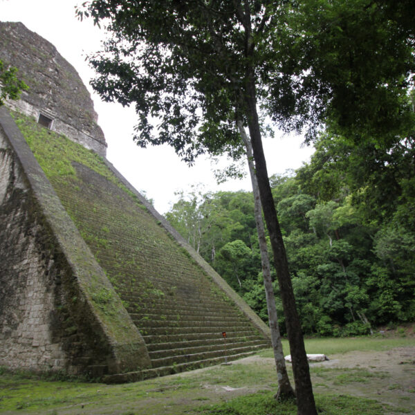 Templo V - Tikal - Guatemala