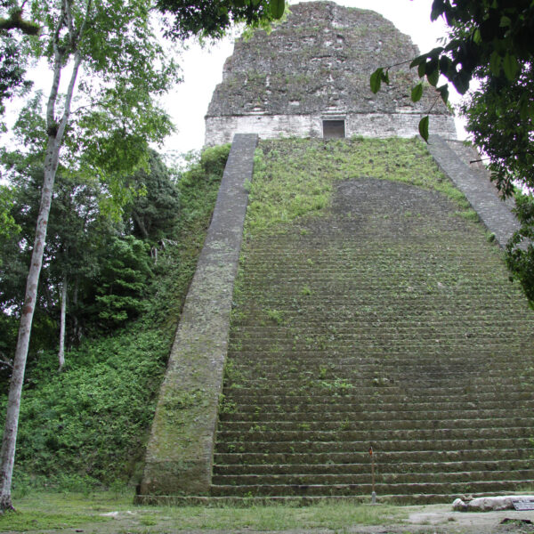 Templo V - Tikal - Guatemala