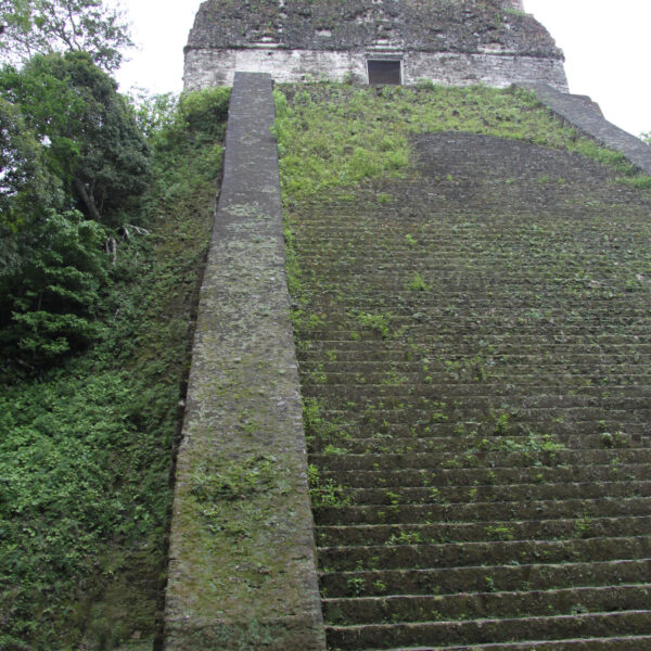 Templo V - Tikal - Guatemala
