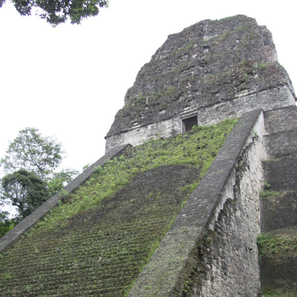 Templo V - Tikal - Guatemala