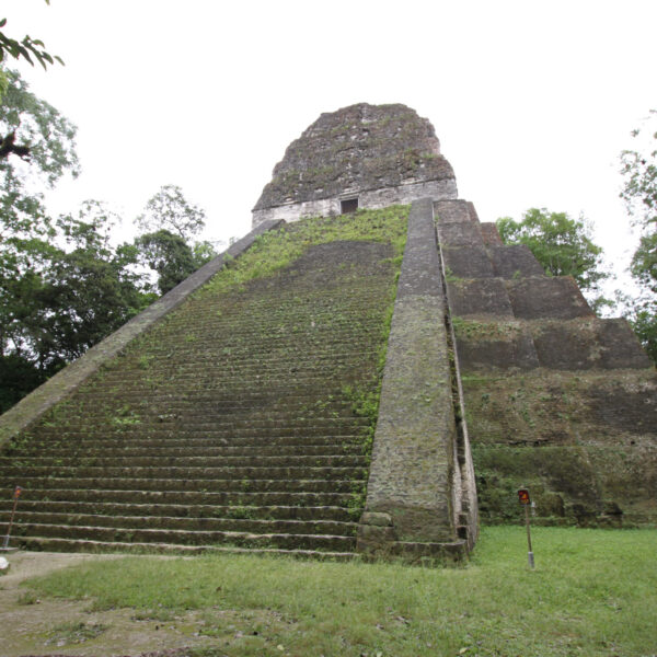 Templo V - Tikal - Guatemala
